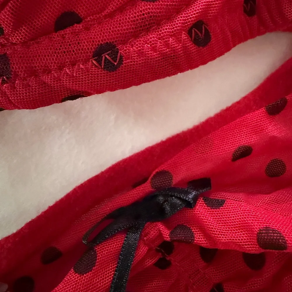 Preowned Chantal Thomass Sexy Lingerie Set Red Black Polka Dot Sz 36C/XS-S - Picture 6 of 8
